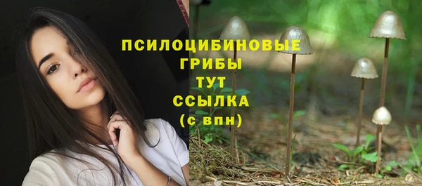 прущий лед Мегион