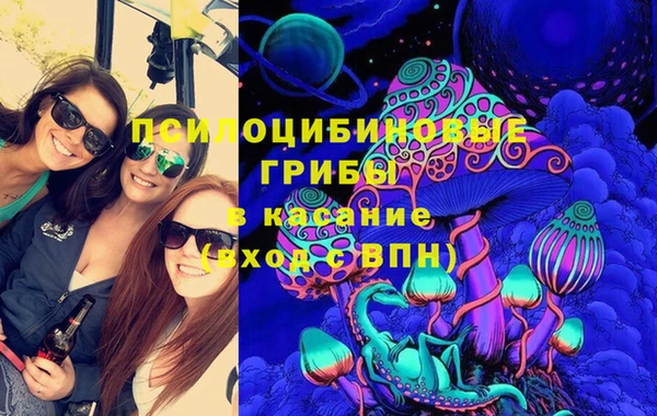 меф Медвежьегорск