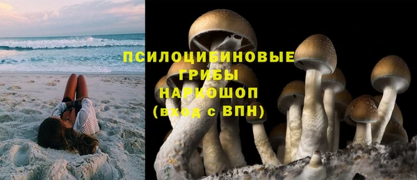 меф Медвежьегорск
