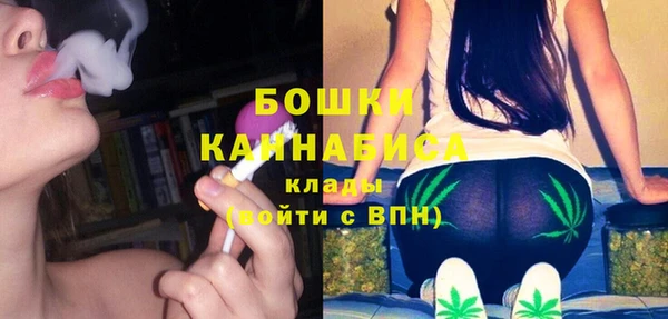 мдпв Медногорск